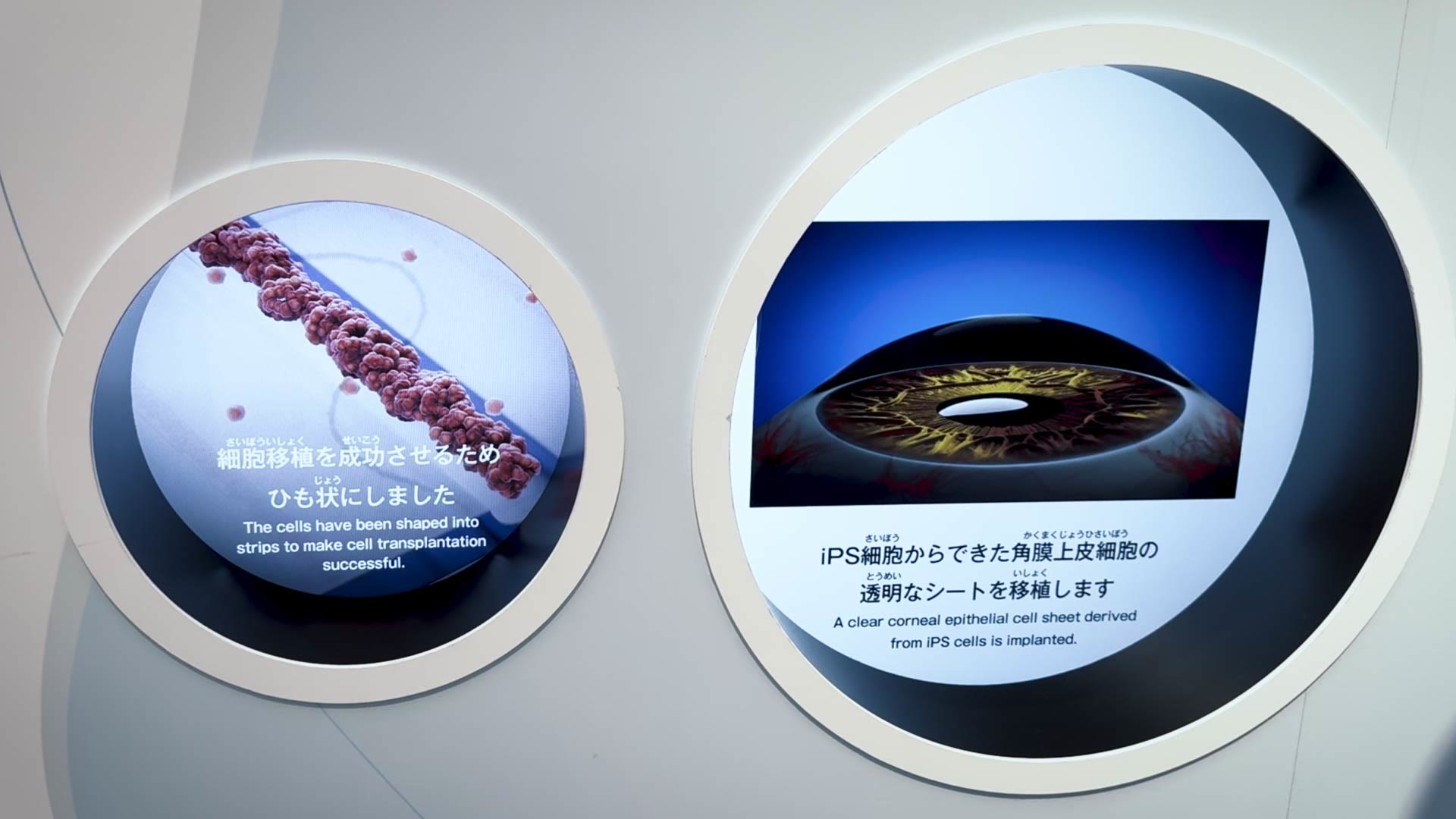 ハイドロコア制作の角膜アニメーションが実際に丸窓のスクリーンに映し出されている様子